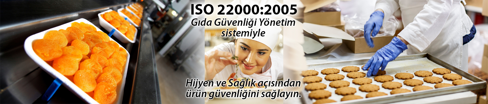 ISO 22000 Belgesi banner